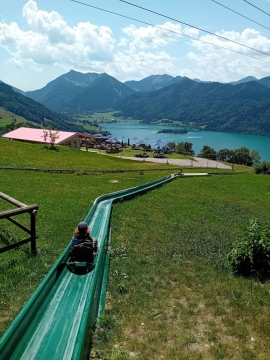 Rodeln auf der Schliersbergalm
