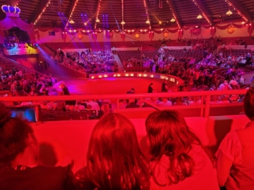 Kinder von hinten die auf eine Zirkusmanege Blicken