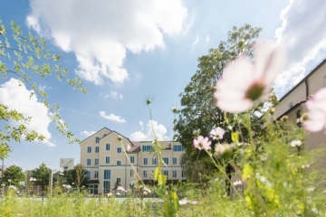 Blumenwiese für Insekten