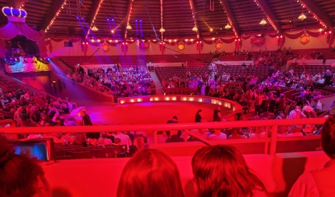 Kinder von hinten die auf eine Zirkusmanege Blicken